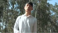 梦