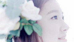 这样的好日子