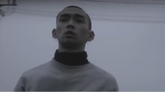 The Flickers - Nova