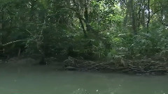 水径