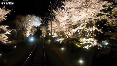 冈拉梅朵