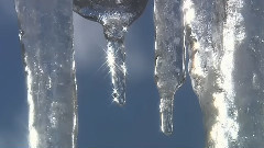 Snowflakes