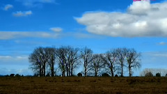 Cloud