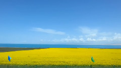 醉美青海湖