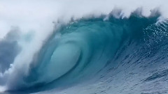 写给海洋