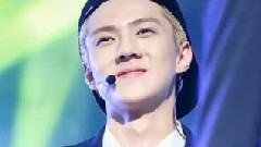 虞美人盛开的山坡