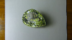 大角虫的写实绿宝石