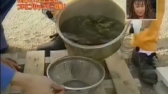 一个屋顶上 17