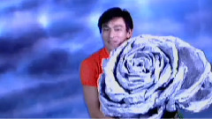 花心