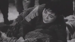 影视原声 - 喜儿哭爹