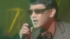 坏情人