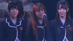 桜の花びらたち AX