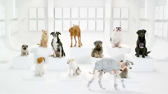Pub Volkswagen The Bark Side