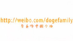剑伤