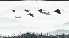 鸿雁