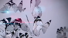 Waltz Of The Butterfly Seitkaliyev