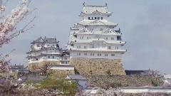 姫路城と桜 (Himeji Castle Surrounded)