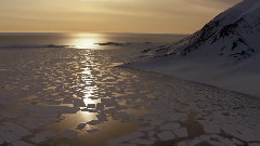 The Long Winter