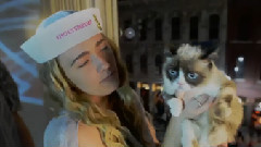 Grumpy Cat Appears In Window At SXSW14