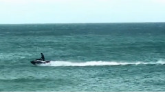 海之恋