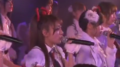 樱の花びらたち