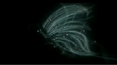 Butterfly Track