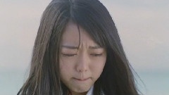 AKB48第4回选拔总选举峯岸南应援 饭制版