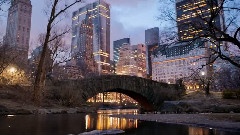 New York Afterglow