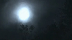 Ludwig Van Beethoven Moonlight Sonata