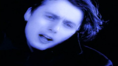 Suede - The Wild Ones