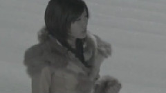风になる