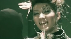 鸟の群れ