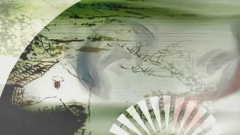 锦鲤抄