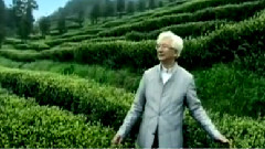 王相周 - 白茶恋曲