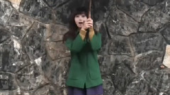现在停止争吵