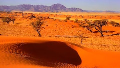 Namib Desert