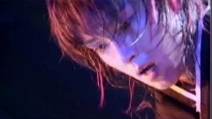 The Rain