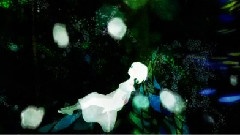 Ambivalentidea