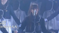 桜の花びらたち AX