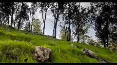 以色列的韵动风景