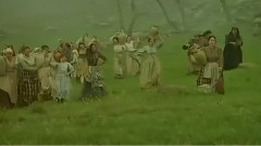 乡村骑士 桔林散发着芳香