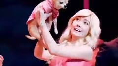 音乐剧<金发尤物>谢幕Cut