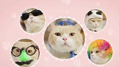 萌猫尖東忌廉哥