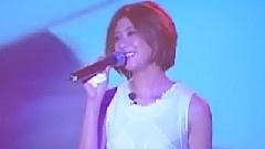 蒲公英