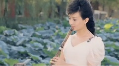 来生缘一世情