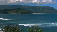 Tim Janis - Summer Sea
