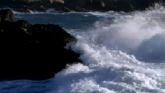 The Sound Of The Sea