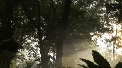 In the Breath of Life