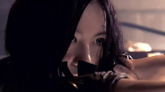 奈落之花 饭制版