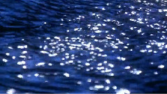 Flowing Blue Bernward Koch